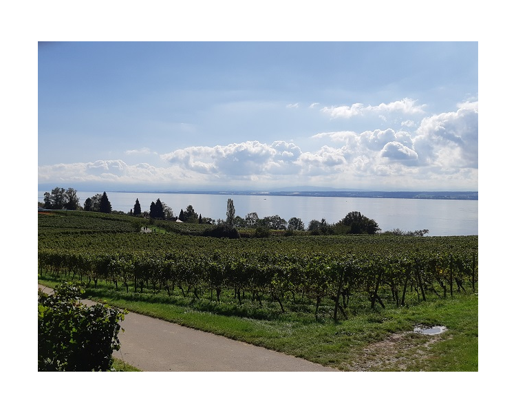 Im Herbst 2019 (7)